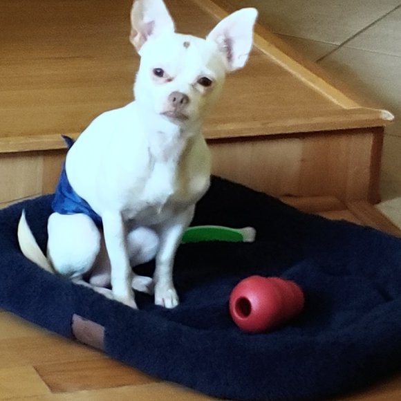 Meet your Posher, Edna - Picture 6 of 7